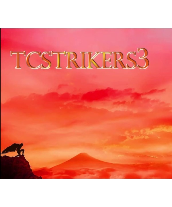 TCSTRIKERS3 Steam Key GLOBAL